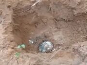 12:35 –
Duas ossadas são encontradas em suposto cemitério clandestino em Várzea Grande; veja vídeo