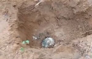12:35 –
Duas ossadas são encontradas em suposto cemitério clandestino em Várzea Grande; veja vídeo