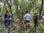 17:08 –
PJC identifica marcações de 'x' em árvores próximas às covas encontradas em VG