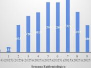 11:15 –
Força-tarefa reduz em 36% notificações dos casos de arboviroses em Várzea Grande