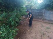 07:58 –
Jovem foi morto por facção criminosa por supostamente estuprar criança de sete anos