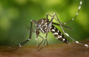 16:58 –
Mais 15 mortes por dengue e chikungunya são registradas em MT nas últimas 48 horas