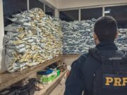 07:31 –
PRF apreende 544 kg de agrotóxico e prende motorista na BR-163
