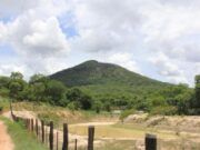 08:46 –
Sema publica Plano de Manejo do Monumento Natural Morro de Santo Antônio