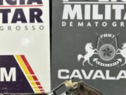 10:37 –
Cavalaria da PM prende cinco pessoas e apreende revólver e munições