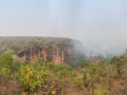 14:55 –
Com proibições diferentes para cada bioma, MT intensifica combate às queimadas e desmatamento ilegal