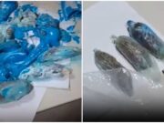 Visita tenta entrar em cadeia com droga em tubos de creme dental