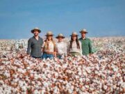 Empresa de sobrinhas de Eraí Maggi colhe a sua maior safra