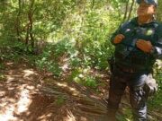 Polícia acha mais duas ossadas em cemitério clandestino de VG