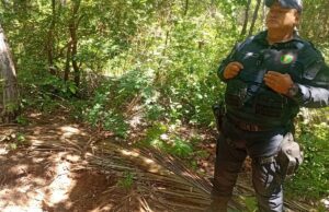 Polícia acha mais duas ossadas em cemitério clandestino de VG