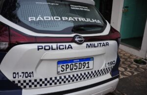 PM prende suspeito de matar cães com pedradas e facadas em MT