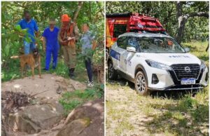 Moradores encontram crânio e braço em área de mata em MT