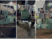 PM apreende 411 kg de drogas; grupo tem prejuízo de R$ 7,5 mi