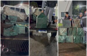PM apreende 411 kg de drogas; grupo tem prejuízo de R$ 7,5 mi