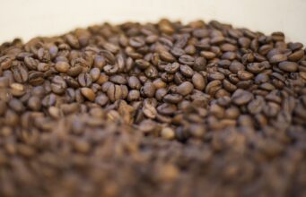 Imposto zero para importaأ§أ£o de itens como cafأ© e carne comeأ§a hoje. Custo para o governo serأ، R$ 650 milhأµes