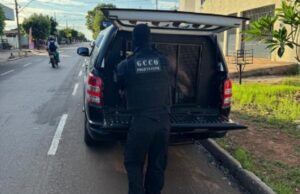 10:11 –
PJC cumpre mandados contra investigados por roubo de defensivos agrícolas e comércio ilegal de armas