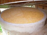 07:50 –
Trabalhador morre ao soterrado por soja em silo de fazenda no interior de MT