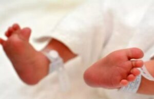 15:45 –
Laudo inicial aponta que bebê encontrado morto aspirou leite materno