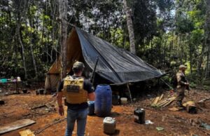 12:04 –
Polícia prende três homens, destrói acampamentos e apreende motosserra em estação ecológica