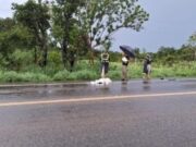 14:57 –
Corpo de homem é encontrado com sinais de atropelamento na BR-070; motorista fugiu do local