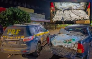 15:36 –
PRF apreende mais de 2 mil artefatos explosivos escondidas em Hilux na BR-163