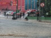 19:11 –
Cuiabá e mais 124 cidades de MT têm alerta de chuvas intensas e ventos de até 60km/h no Feriadão; veja lista