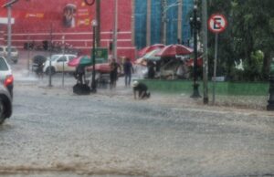 19:11 –
Cuiabá e mais 124 cidades de MT têm alerta de chuvas intensas e ventos de até 60km/h no Feriadão; veja lista