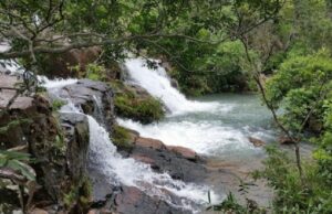 16:59 –
Cinco pessoas são detidas após entrarem na cachoeira de parque estadual