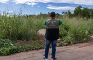 16:48 –
Câmara aprova projeto de notificação eletrônica para fechar cerco contra donos de terrenos baldios