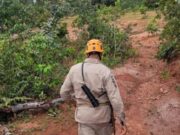 15:12 –
Idosa com alzheimer se perde em mata e acaba resgatada pelos bombeiros