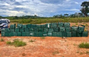 Apreensões de drogas geram prejuízo de R$ 209 milhões às facções
