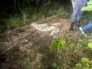 Filho de ex-servidor diz que comparsa menor enforcou Heloysa