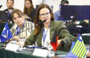 Secretária faz parte do grupo de trabalho que vai revisar a Lei de Publicidade no país