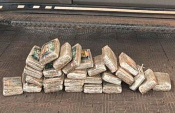 Polícia apreende carga de supermaconha avaliada em R$ 60 mil