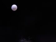 Hugo Calderano cai na final e fica com prata inأ©dita do Mundial de tأھnis de mesa | tأھnis de mesa