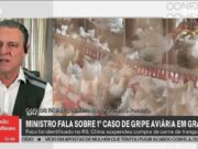 Por que paأses suspenderam compra de frango do Brasil, se nأ£o hأ، risco para consumo? | Agronegأ³cios