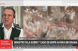 Por que paأses suspenderam compra de frango do Brasil, se nأ£o hأ، risco para consumo? | Agronegأ³cios