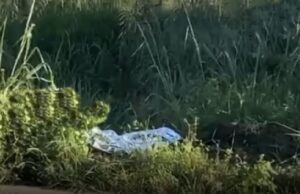14:06 –
Corpo de idoso é achado em matagal com marcas de atropelamento