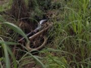 10:53 –
Homem sem capacete morre após passar em cascalho e cair de motocicleta