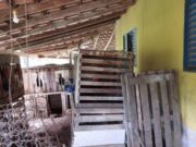 16:12 –
Polícia fecha rinha com galos em gaiolas com tapa-bicos e protetores de esporas; homem é preso