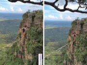 18:51 –
Vídeo de homem praticando 'highline' a 60 metros de altura entre paredões de Chapada impressiona: assista
