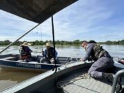 18:02 –
Sema realiza operações contra pesca predatória em MT; pescador profissional é preso com 65 kg de pescado irregular