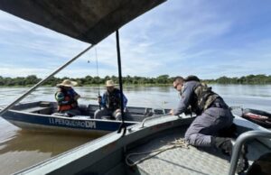 18:02 –
Sema realiza operações contra pesca predatória em MT; pescador profissional é preso com 65 kg de pescado irregular