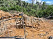 14:03 –
Polícia Militar prende 19 pessoas e fecha área de garimpo ilegal