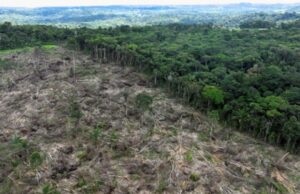 16:20 –
Desmatamento recua em MT, mas estado segue entre os que mais perdem vegetação nativa