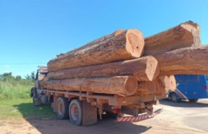 12:20 –
PM Ambiental fecha balsa de garimpo ilegal e apreende caminhão com toras em MT; multas passam de R$ 100 mil