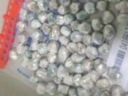 20:11 –
Funcionários de empresa de alimentos são flagrados levando drogas para presos na PCE; visitantes são detidos no interior