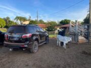 08:20 –
PF cumpre mandados em MT contra fraudes fundiárias e grilagem de terras