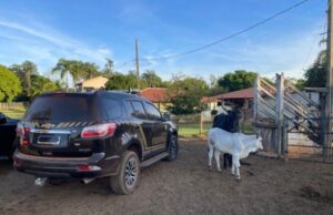 08:20 –
PF cumpre mandados em MT contra fraudes fundiárias e grilagem de terras