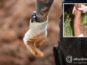 11:29 –
Homem é encontrado morto com saco na cabeça em área de chácaras; polícia suspeita de 'salve'